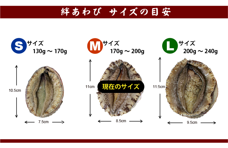 絆あわび サイズの目安