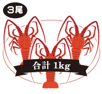 3尾 合計 1kgセット