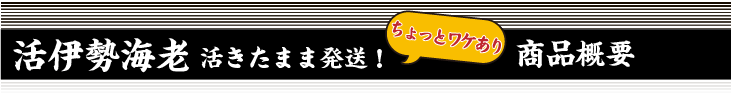 活きたまま発送 伊勢海老　商品内容