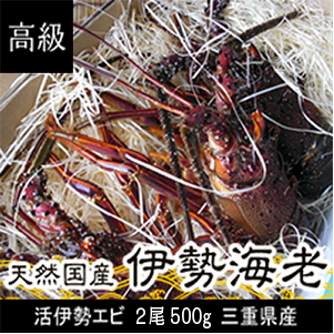 高級伊勢海老 3尾入り合計800g