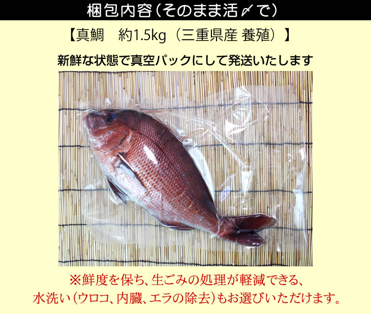 真鯛約1.5kg(三重県産養殖)/新鮮な状態で真空パックにして発送いたします/※鮮度を保ち、生ごみの処理が軽減できる、水洗い(ウロコ、内臓、エラの除去)もお選びいただけます。