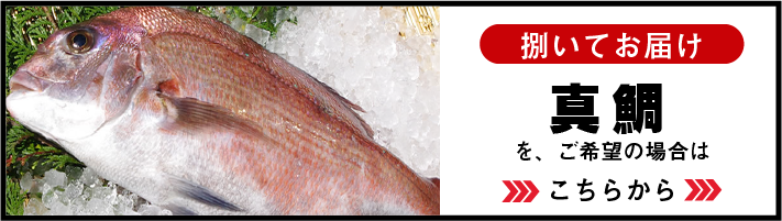 魚が捌けなくても大丈夫!!まるか水産の鮮魚は捌いてお届けできます!!/スキンレス(皮なし)アラ下処理済/真鯛