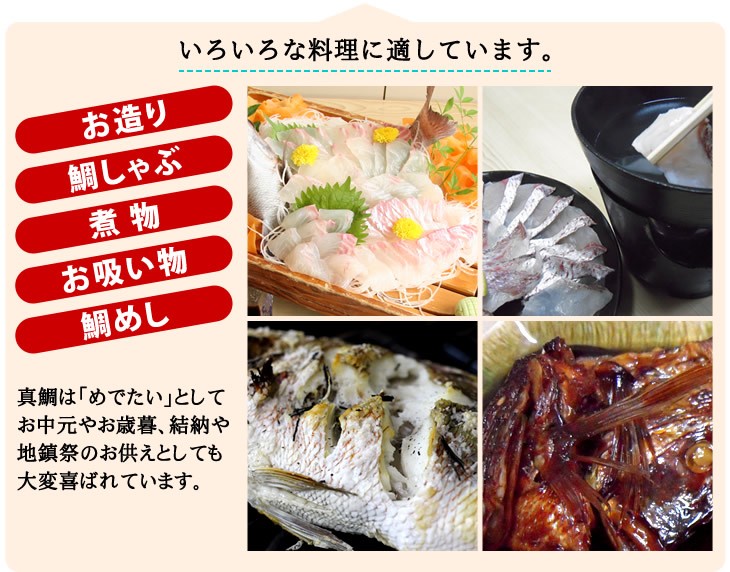 いろいろな料理に適しています。お造り／鯛しゃぶ／煮物／お吸い物／鯛めし