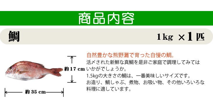 真鯛 普通サイズ 捌いてお届けできます 1 0ｋｇ 魚介類 Madai M 005 まるか水産yahoo 店 通販 Yahoo ショッピング