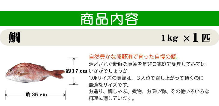 鯛/1.0kg×1尾。自然豊かな熊野灘で育った自慢の鯛。約17cm×約35cm