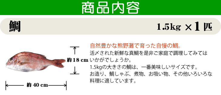 鯛/1.5kg×1尾。自然豊かな熊野灘で育った自慢の鯛。約18cm×約40cm