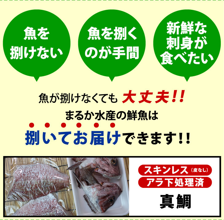 魚が捌けなくても大丈夫!!まるか水産の鮮魚は捌いてお届けできます!!/スキンレス(皮なし)アラ下処理済/真鯛