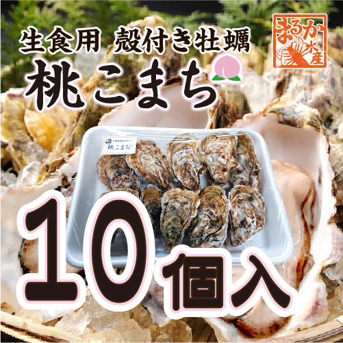 生食用 殻付き牡蠣10個入