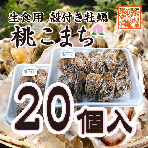 生食用 殻付き牡蠣20個入