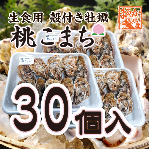 生食用 殻付き牡蠣30個入