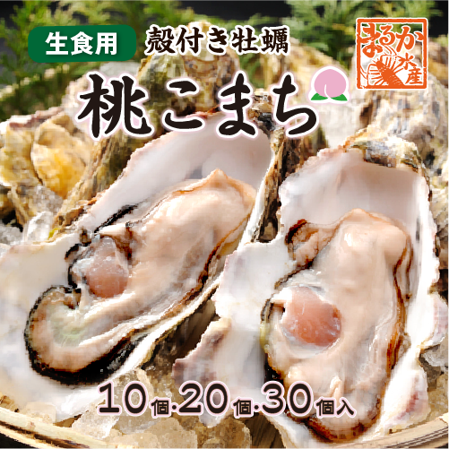 生食用 殻付き牡蠣 桃こまち