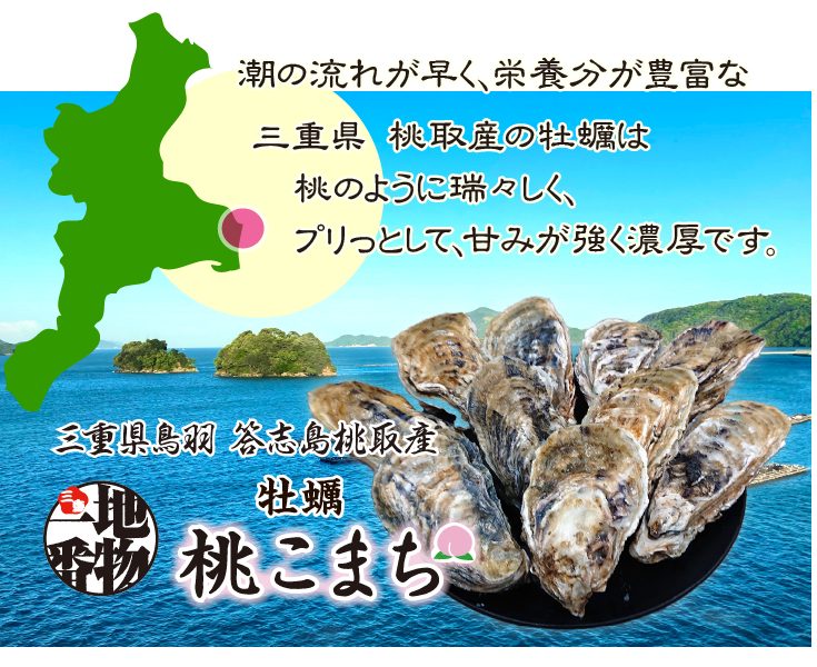 潮の流れが早く、栄養分が豊富な三重県 桃取産の牡蠣は、桃のように瑞々しく、プリっとして、甘みが強く濃厚です。