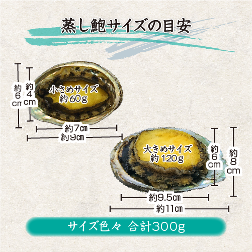 蒸し鮑 サイズの目安