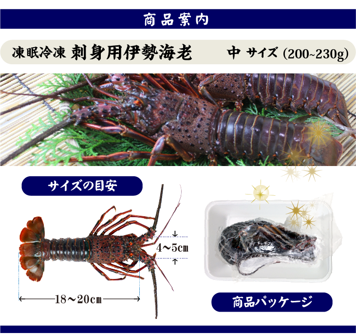 伊勢海老,普通サイズ | まるか水産公式オンラインショップ