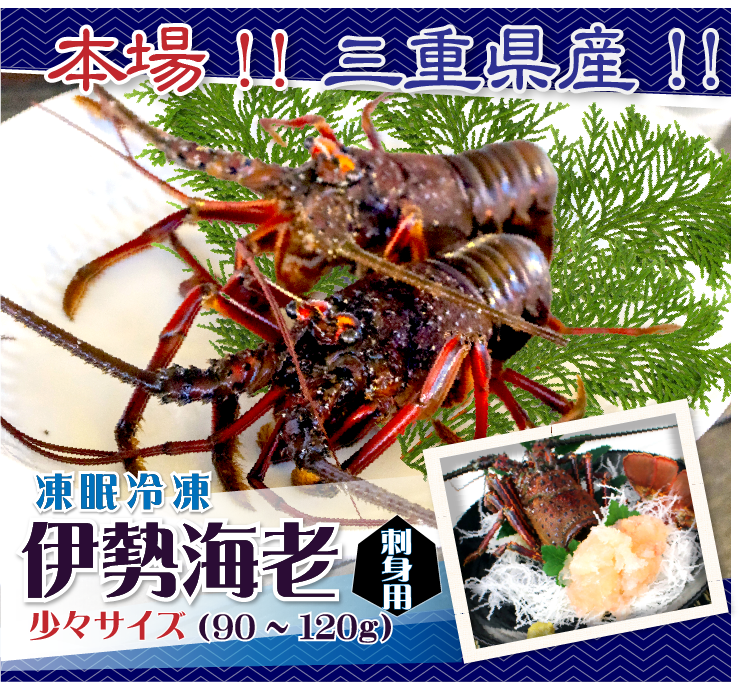 本場!!三重県産!!凍眠冷凍 刺身用伊勢海老 少々サイズ 1尾 90〜120g