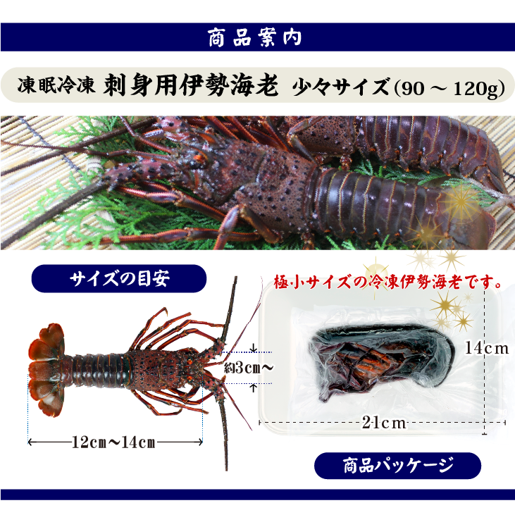 凍眠冷凍伊勢海老 商品案内