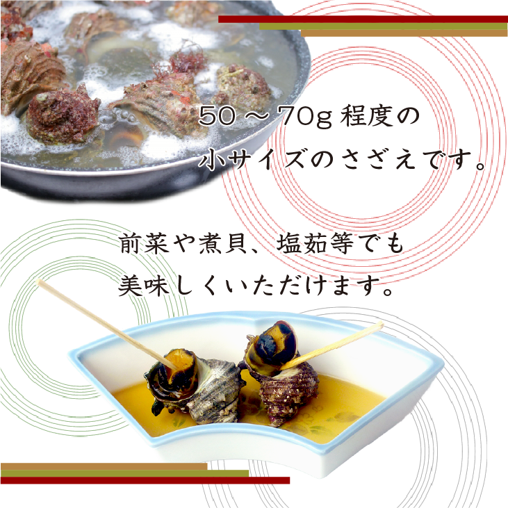 50~70gの小ぶりなさざえは、前菜として、煮貝や塩茹でにて、美味しくいただけます。