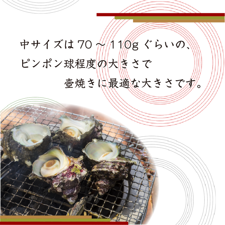 70~110gの標準的なサイズのさざえは、つぼ焼きに最適なサイズです。