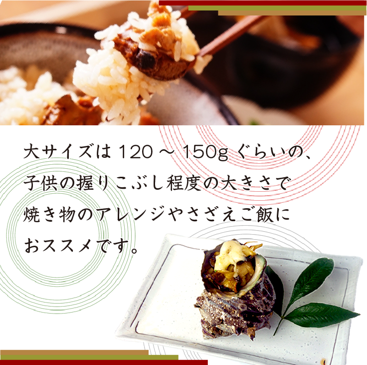 さざえご飯や焼き物のアレンジにおススメです。