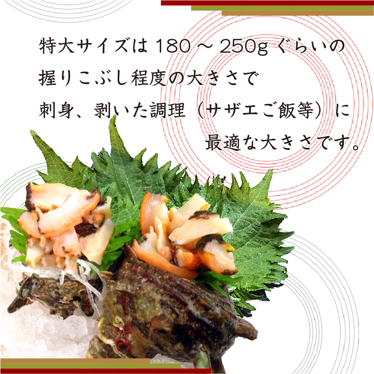 さざえご飯や焼き物のアレンジにおススメです。