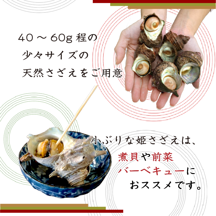 40〜60g程の少々サイズの天然さざえをご用意しました!