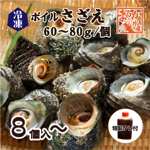冷凍 天然さざえ ボイル済 60〜80g×8個入りパック 特製たれ付 [ボイルサザエ]