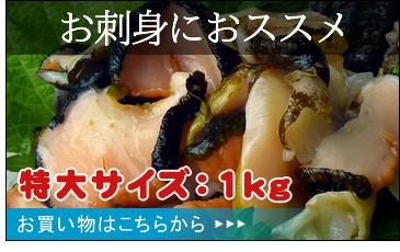 お刺身におススメ-特大サイズ1キロ