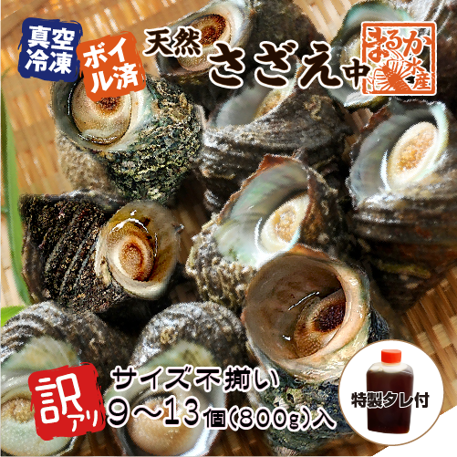 冷凍 天然さざえ ボイル済 訳あり（サイズ不揃い） 特製たれ付 （60〜100g×9〜13個入）