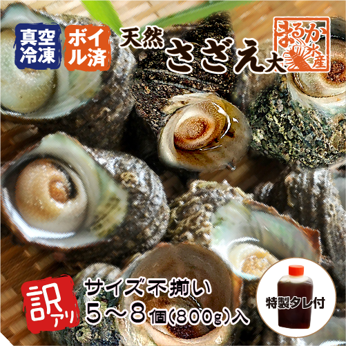 冷凍 天然さざえ ボイル済 訳あり（サイズ不揃い） 特製たれ付 （入数：100〜180g×5〜8個入）