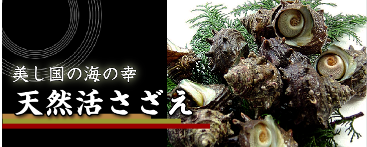 美し国の海の幸「天然活さざえ」