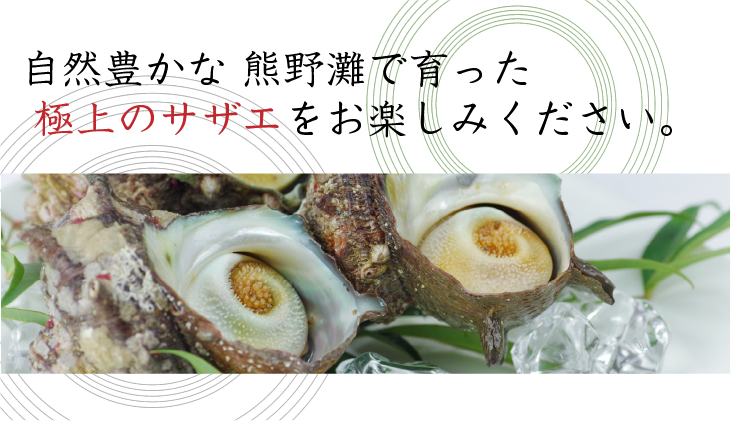自然豊かな熊野灘で育った「極上のサザエ」をお楽しみください