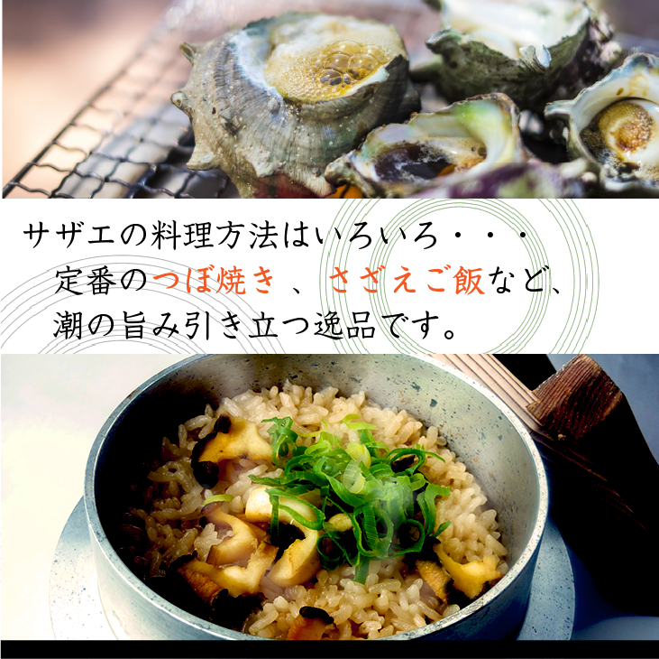 さざえの料理方法は色々・・・、定番のつぼ焼き、さざえご飯など、潮の旨味が引き立つ逸品です