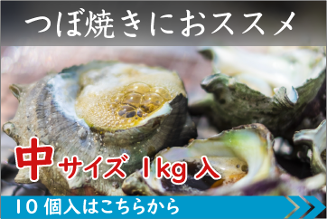 つぼ焼きにおススメ さざえ中サイズ10個入