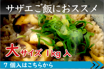 さざえご飯におススメ 大サイズ7個入