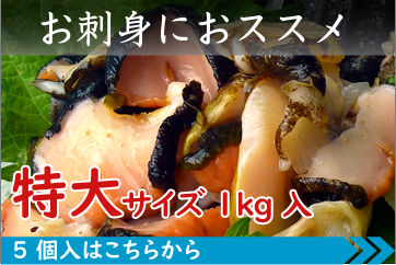 お刺身におススメ 特大サイズ 5個入