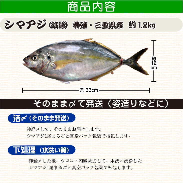 シマアジ 商品内容（サイズ等）