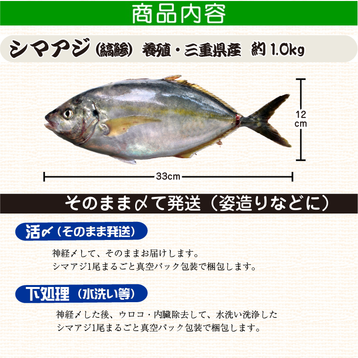 シマアジ 商品内容（サイズ等）
