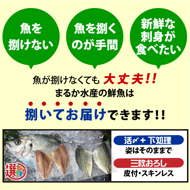 魚を捌けなくても、まるか水産では、捌いてお届けできます。