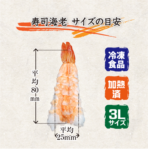 冷凍 ボイル寿司海老 1尾辺りのサイズの目安