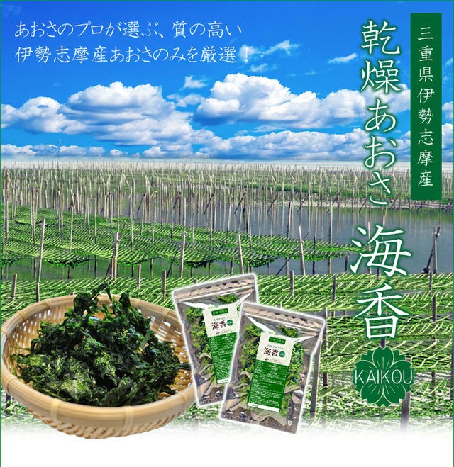 伊勢志摩産 あおさのり ９０ｇ メール便 送料無料 三重県産 アオサ 海苔 海藻 チャック付袋入 NP :aosa40:伊勢鳥羽志摩特産横丁 - 通販  - Yahoo!ショッピング