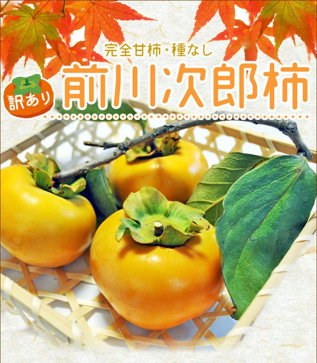 次郎柿 １０ｋｇ 送料無料 伊勢の特産品 前川次郎柿 種なし甘柿の最