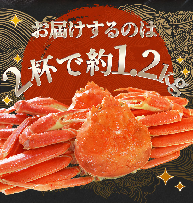 かに ずわいがに ボイル 姿 ２尾で１.２ｋｇ前後（６００ｇ前後×２ハイ）かにみそ 年末年始 送料無料 本ズワイガニ 蟹  :zuwaigani1:伊勢鳥羽志摩特産横丁 - 通販 - Yahoo!ショッピング