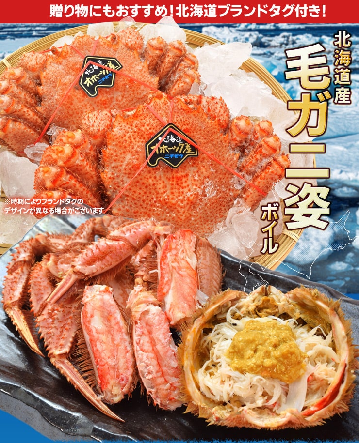 毛ガニ 姿 ボイル ３尾 約１．５ｋｇ（約５００ｇ×３杯） 北海道 ブランドタグ付 毛蟹 毛がに 冷凍 送料無料 蟹 かにみそ 海鮮