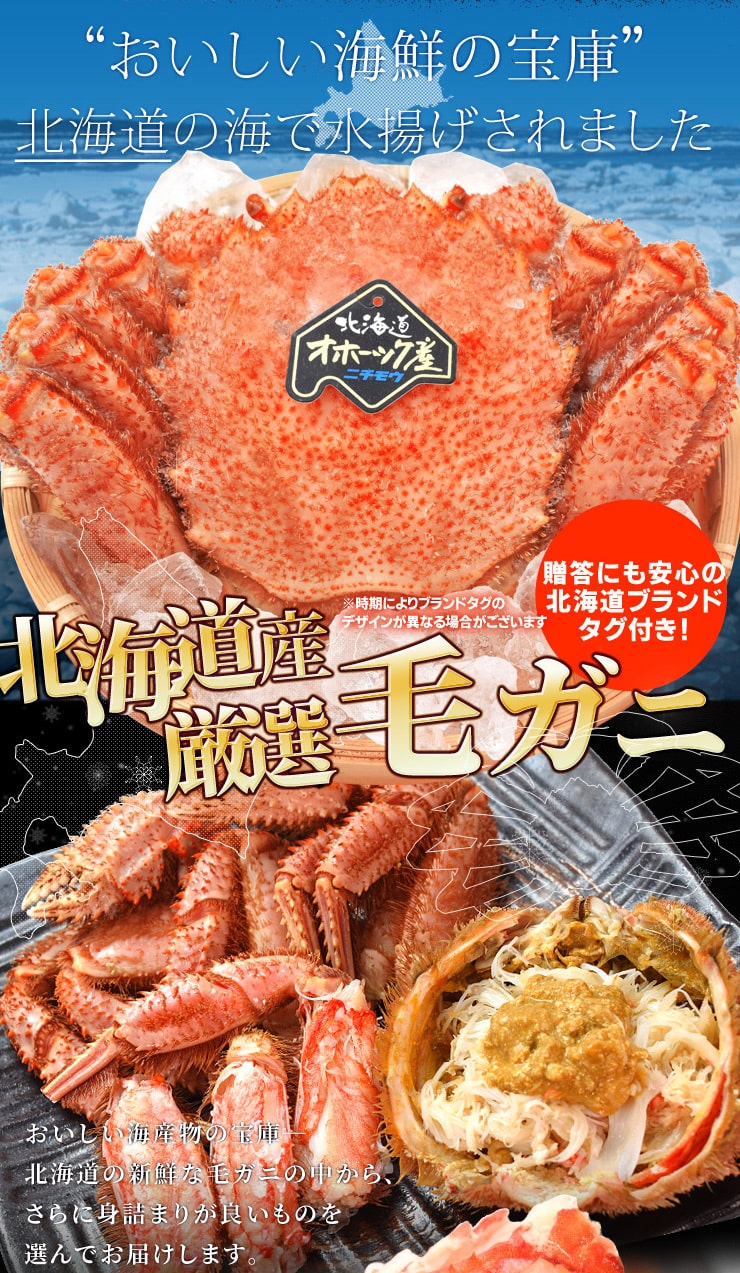 毛ガニ 姿 ボイル 3尾 約1．5kg（約500g×3杯） 北海道