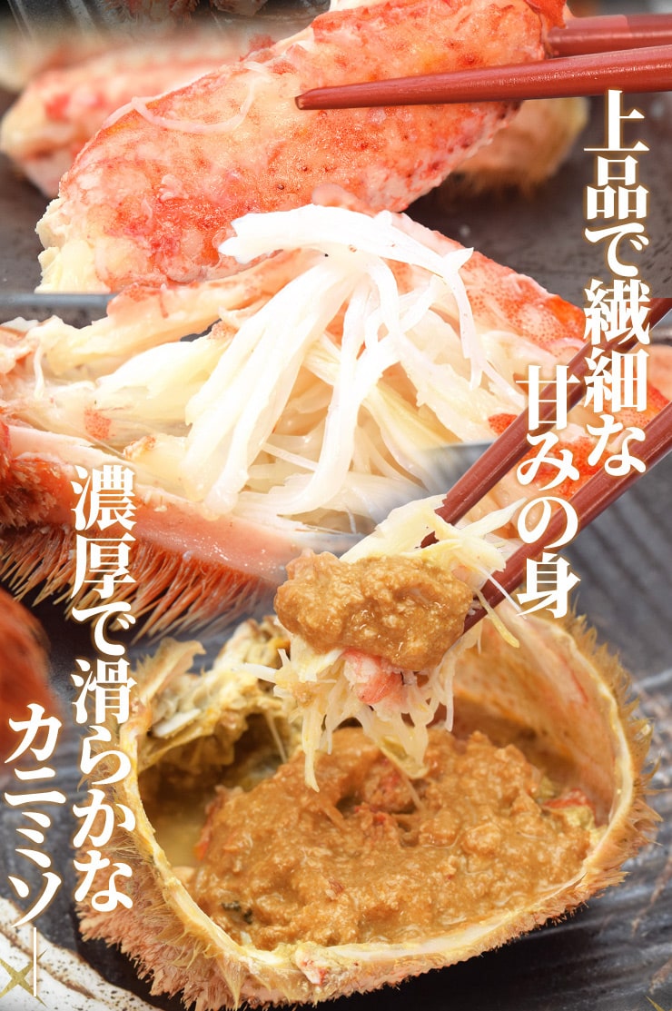 毛ガニ 姿 ボイル 3尾 約1．5kg（約500g×3杯） 北海道