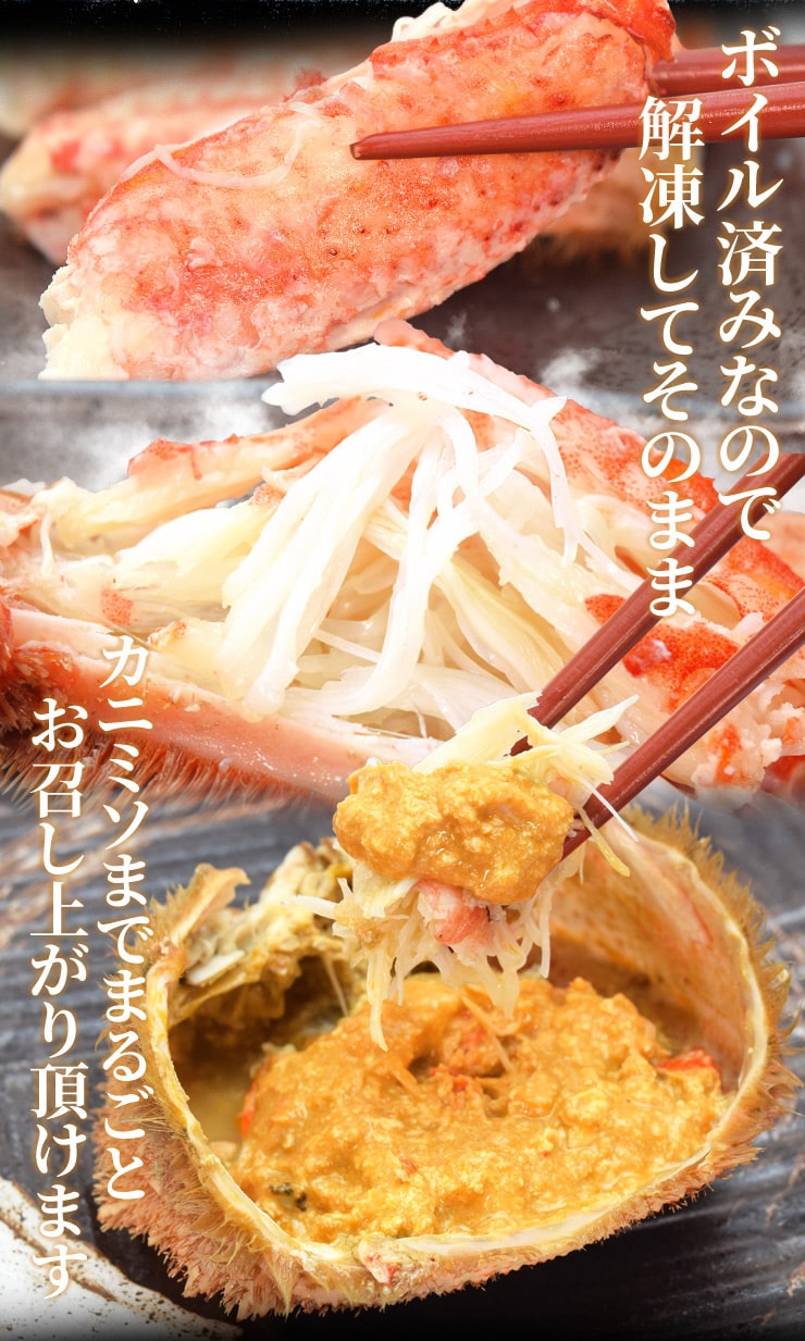 毛ガニ 姿 ボイル 3尾 約1．5kg（約500g×3杯） 北海道