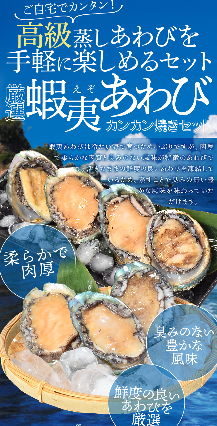あわび カンカン焼きセット 10個入り（約500g前後） 鮑