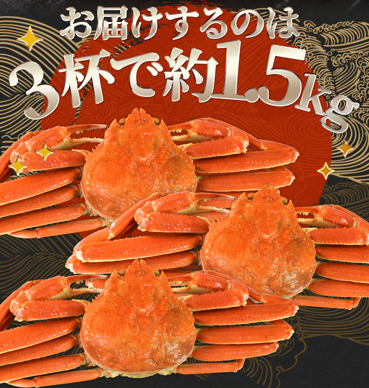 かに ずわいがに ボイル 姿 3尾で1.5kg前後（500g前後×3ハイ
