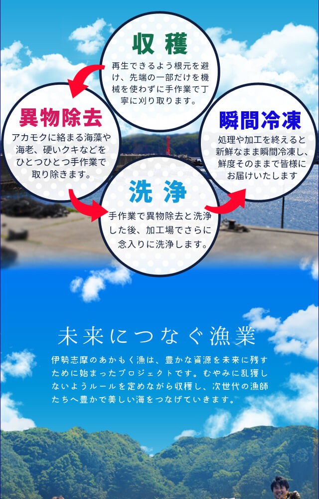 あかもく ７０ｇ×６パック 伊勢志摩産 送料無料 アカモク ギバサ 海藻 冷凍 :akamoku01:伊勢鳥羽志摩特産横丁 - 通販 -  Yahoo!ショッピング