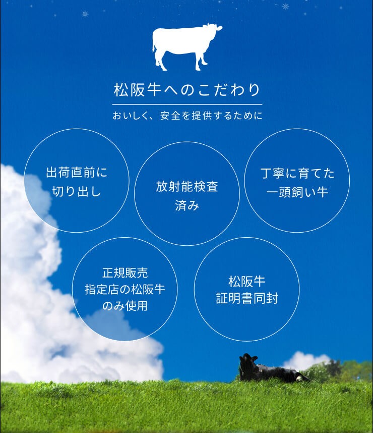 Amazon.co.jp: 松阪牛 焼肉 赤身 400g (通常梱包) 和牛 牛肉